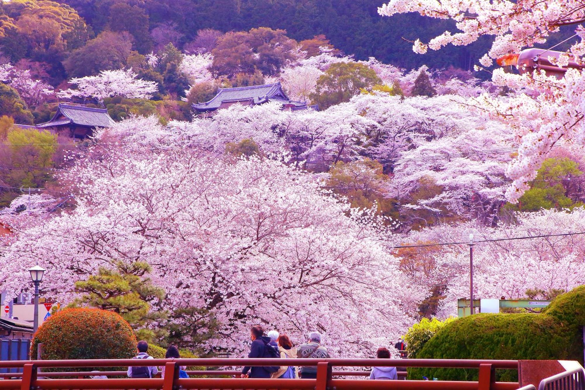 Hotel Honnoji Kyoto Exteriör bild